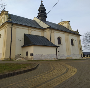 Kościół p.w. Św Apostołów Piotra i Pawła w Bidzinach