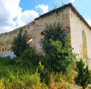Ruiny synagoga w Tarłowie