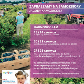 Zaproszenie samozbiory jagody kamczackiej